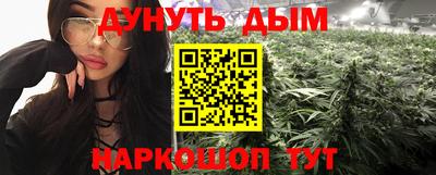 индика Будённовск