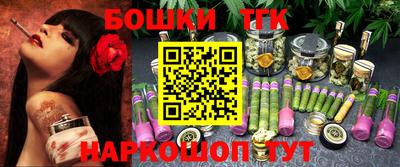 индика Будённовск